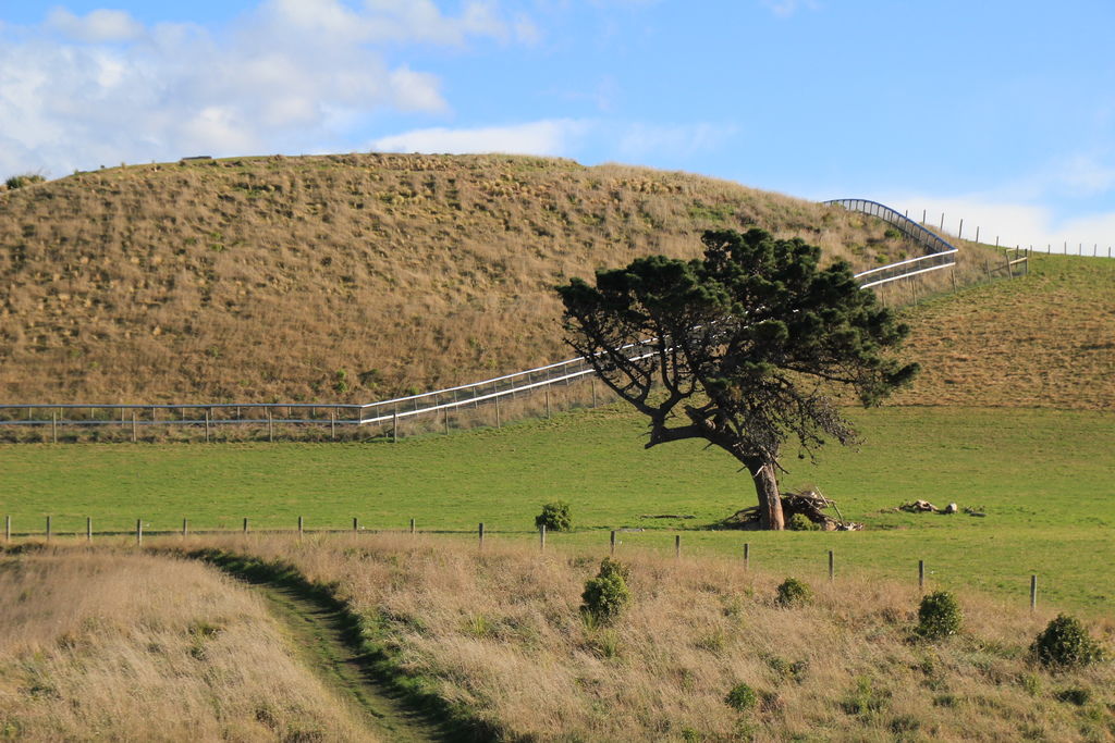 [冬季紐西蘭] Day 4 Kaikoura必走!! 半島健行步道-兩個人的自助旅行-欣傳媒旅遊頻道