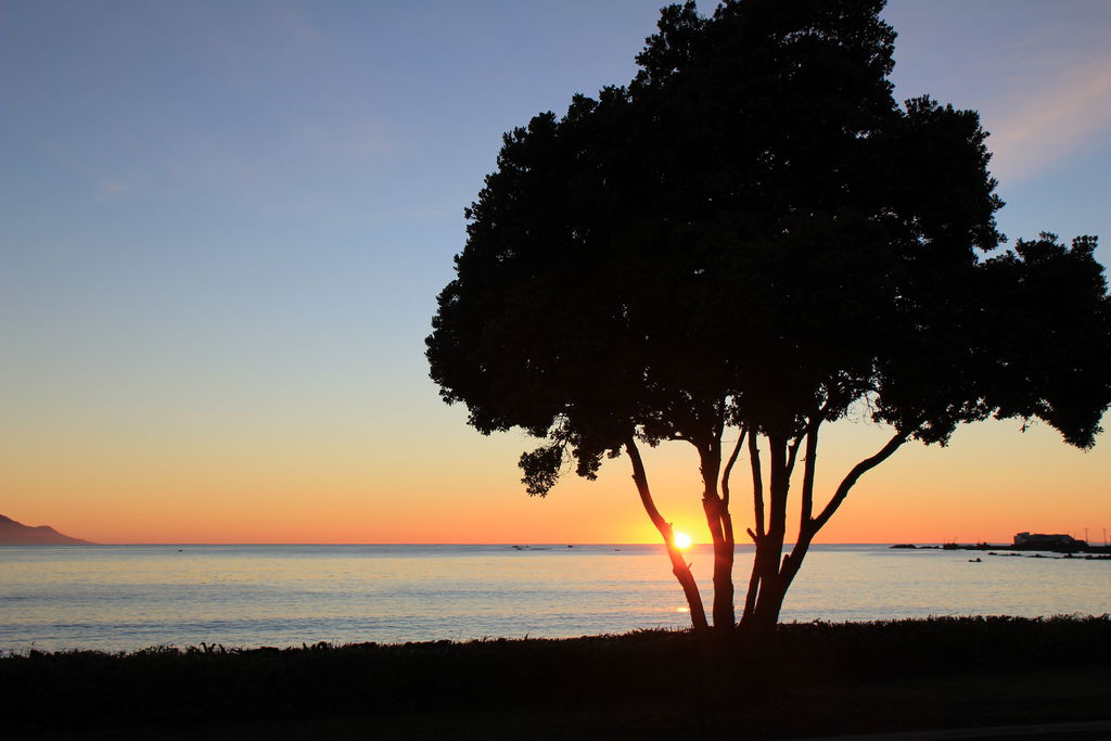 [冬季紐西蘭] Day3 Kaikoura 與海豚共游-兩個人的自助旅行-欣傳媒旅遊頻道