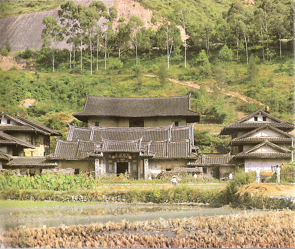 圖檔