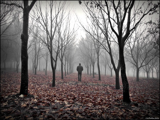 206250857905004434_j13d61BJ_c