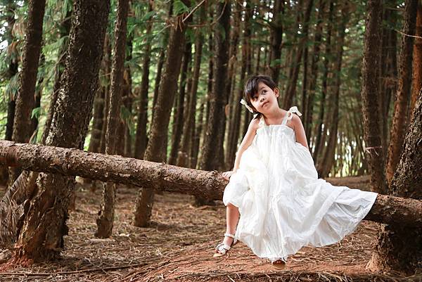 20140622-IMG_1153 20140622-IMG_1153