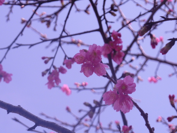 照片 084.jpg 照片 084.jpg