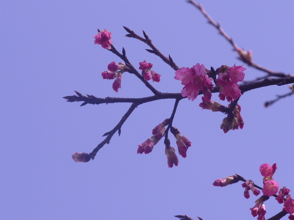 照片 088.jpg 照片 088.jpg