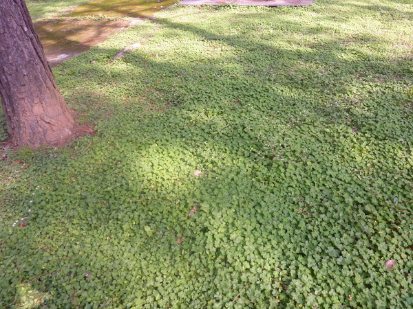 照片 089.jpg 照片 089.jpg