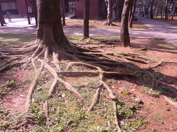 照片 091.jpg 照片 091.jpg