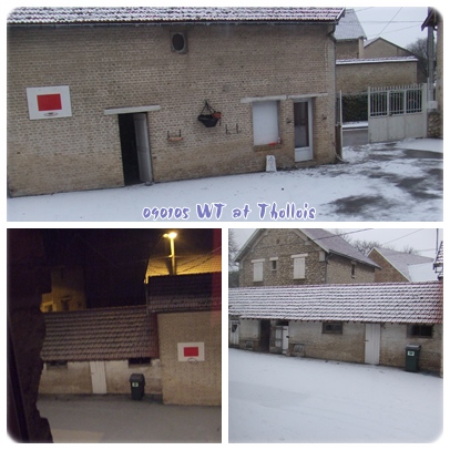 090106 家裡雪景.jpg