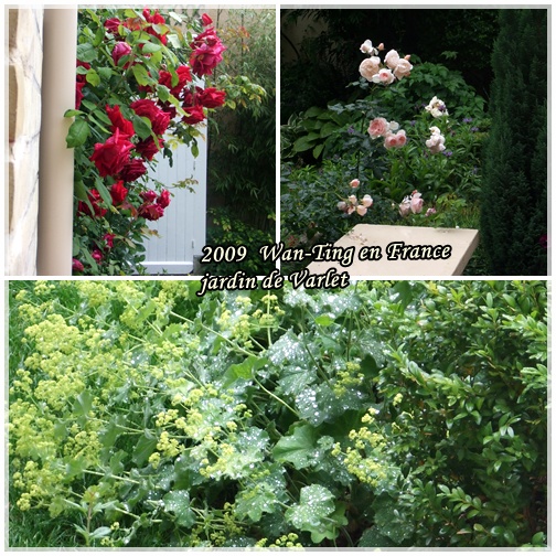 090606 jardin rose.jpg 090606 jardin rose.jpg