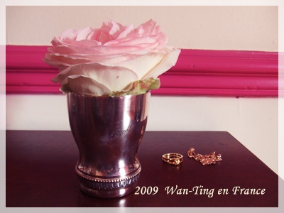 090606 rose de Paola.jpg 090606 rose de Paola.jpg