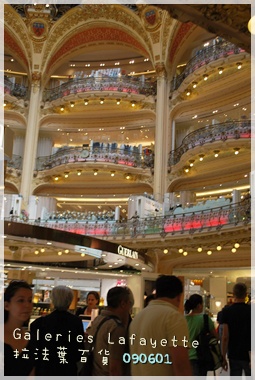 DSC_0156.JPG DSC_0156.JPG