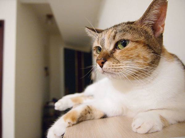 P9050404.JPG P9050404.JPG