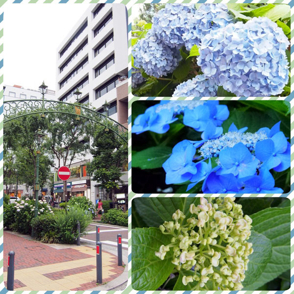 0612 馬車道&港區01.JPG 0612 馬車道&港區01.JPG