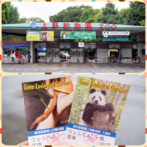 0827 上野01.JPG 0827 上野01.JPG