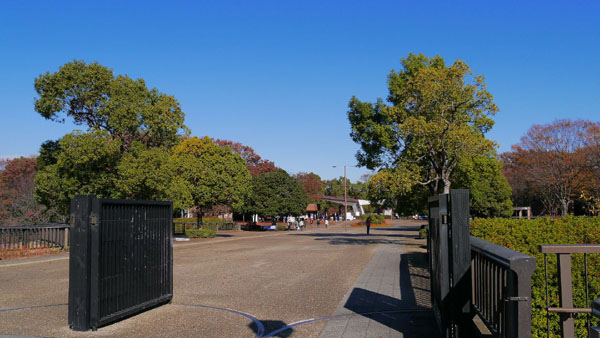 1127 昭和記念公園01.JPG 1127 昭和記念公園01.JPG