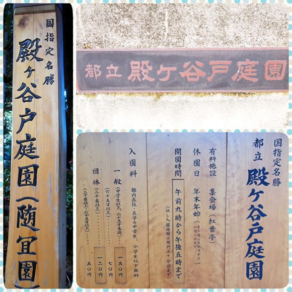 殿ヶ谷戶庭園01.JPG 殿ヶ谷戶庭園01.JPG