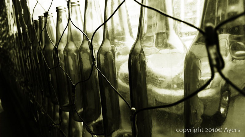 P1000207c.jpg P1000207c.jpg