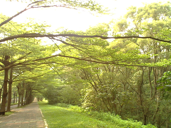 IMG0333A.jpg IMG0333A.jpg