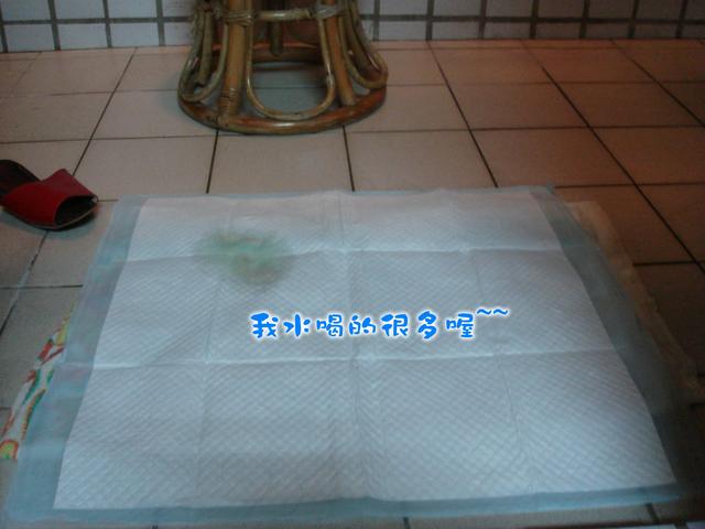 哈比狗狗訓練尿布墊5.jpg 5.jpg