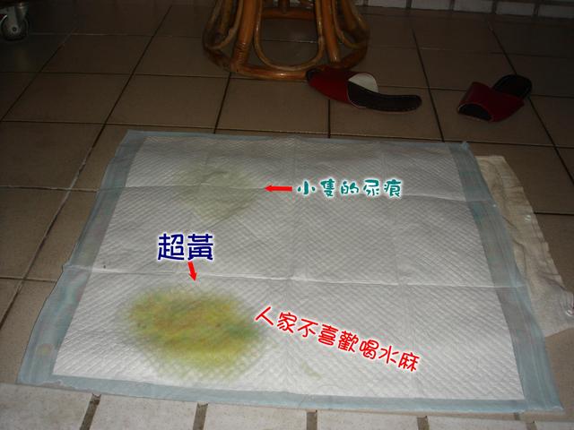 哈比狗狗訓練尿布墊6.jpg 6.jpg