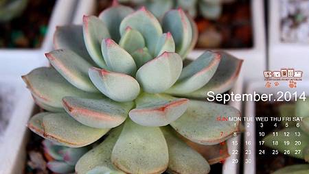 14-091366x768.jpg 14-091366x768.jpg