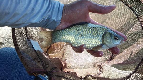 圖片點擊可在新窗口打開查看