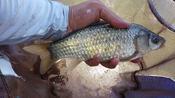 圖片點擊可在新窗口打開查看