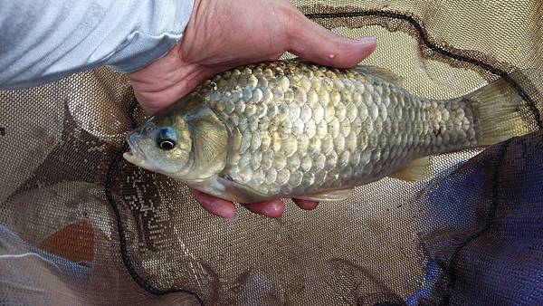 圖片點擊可在新窗口打開查看