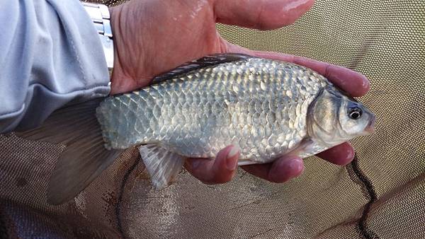 圖片點擊可在新窗口打開查看