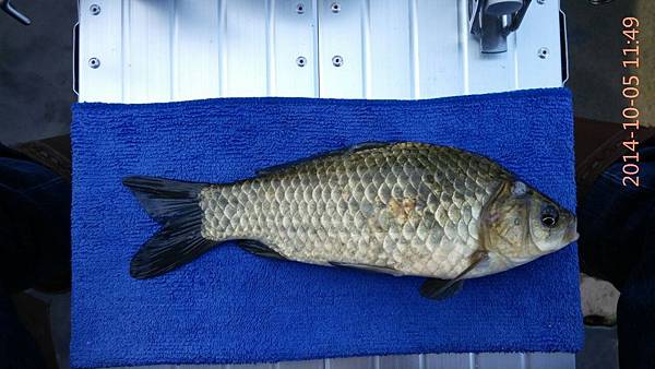 圖片點擊可在新窗口打開查看