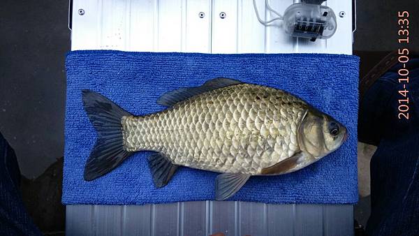 圖片點擊可在新窗口打開查看