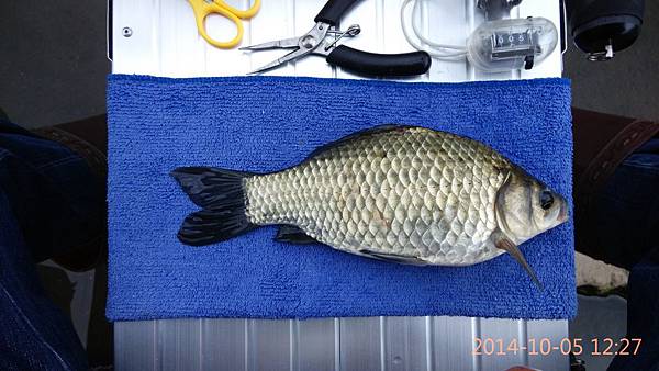 圖片點擊可在新窗口打開查看