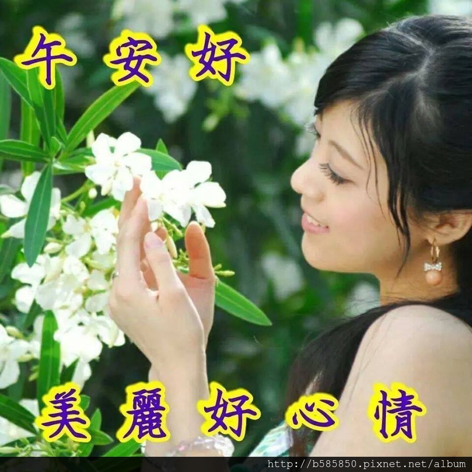 午安2 午安2