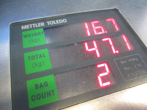 IMG_8237.JPG IMG_8237.JPG