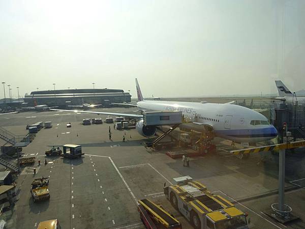 DSC00726.jpg DSC00726.jpg