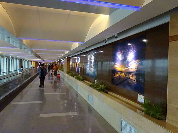 DSC01002.jpg DSC01002.jpg