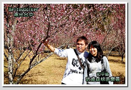 DSC_0915.jpg DSC_0915.jpg