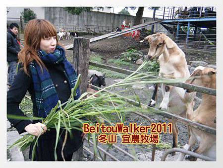 冬山_宜農牧場 冬山_宜農牧場