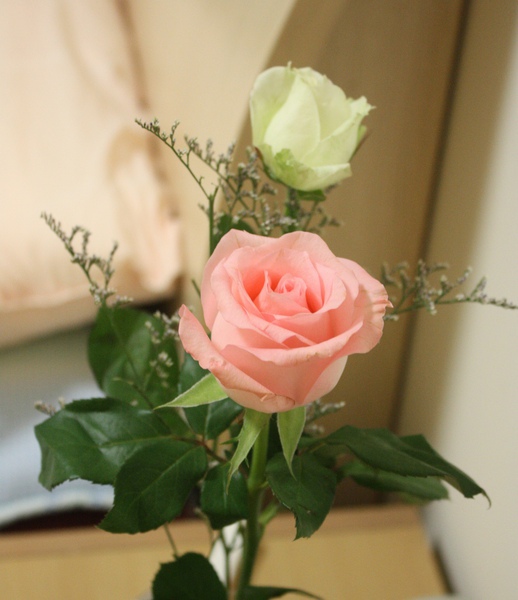 IMG_9828.JPG IMG_9828.JPG