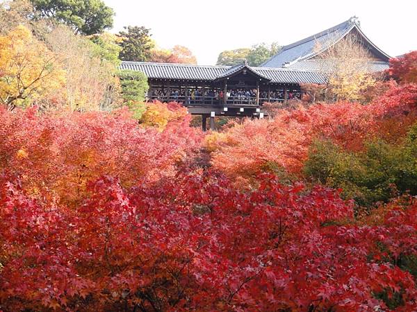 東福寺-18.JPG