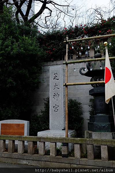 DSCF5631.JPG DSCF5631.JPG