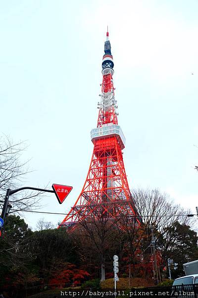 DSCF5726.JPG DSCF5726.JPG