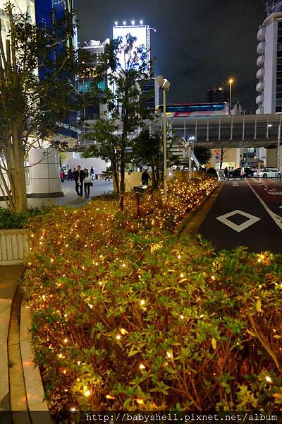 DSCF6202.JPG DSCF6202.JPG