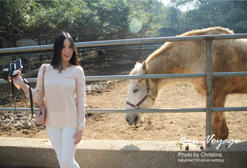 ♥台灣環島Day 1♥台中后里馬場~與馬兒約會的下午時光~