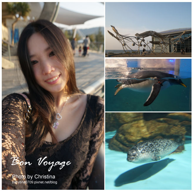 ♥台灣環島Day 2♥墾丁國立海洋生物博物館~超萌的企鵝跟海豹~