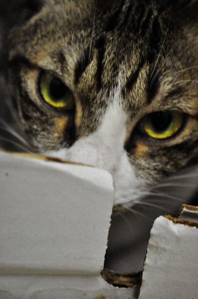 _DSC0023.jpg _DSC0023.jpg