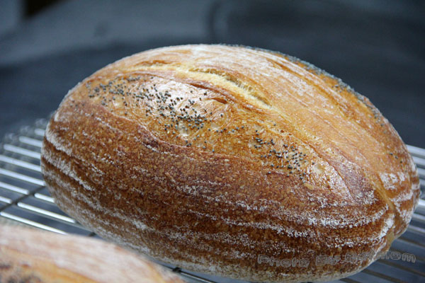 星野酵母-鄉村麵包-106.jpg
