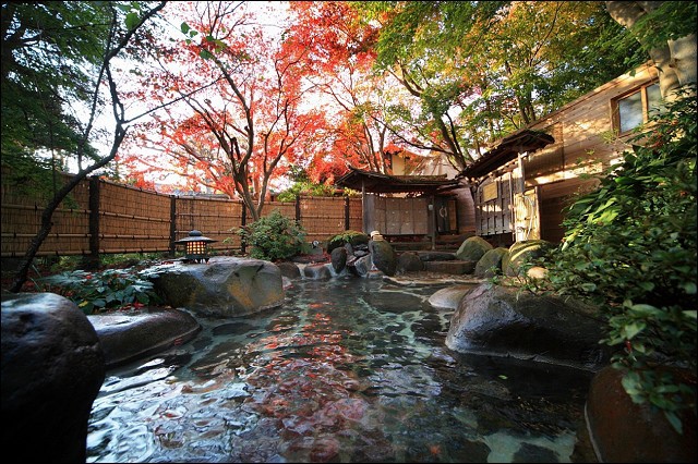 《日本静冈县东部景点美食》伊豆修善寺温泉百年文化财新井旅馆~池泉