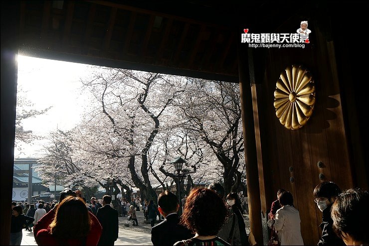 《2018/3/26东京赏樱sng》千鸟ヶ渊&北の丸公园&靖国神社最新花况