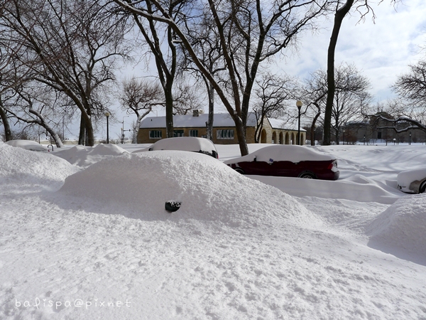 全車覆沒 全車覆沒