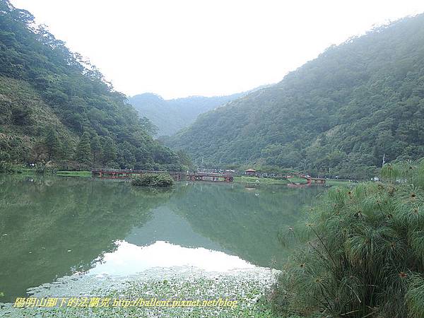 DSCN2252 DSCN2252
