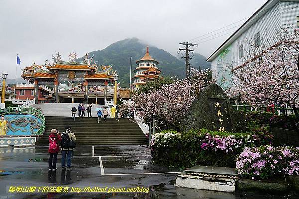 P1500617.jpg P1500617.jpg